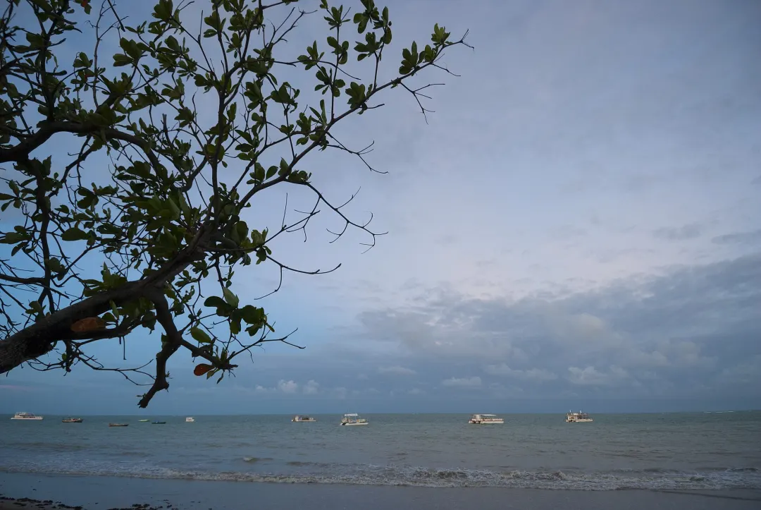 Praia de Camboinha