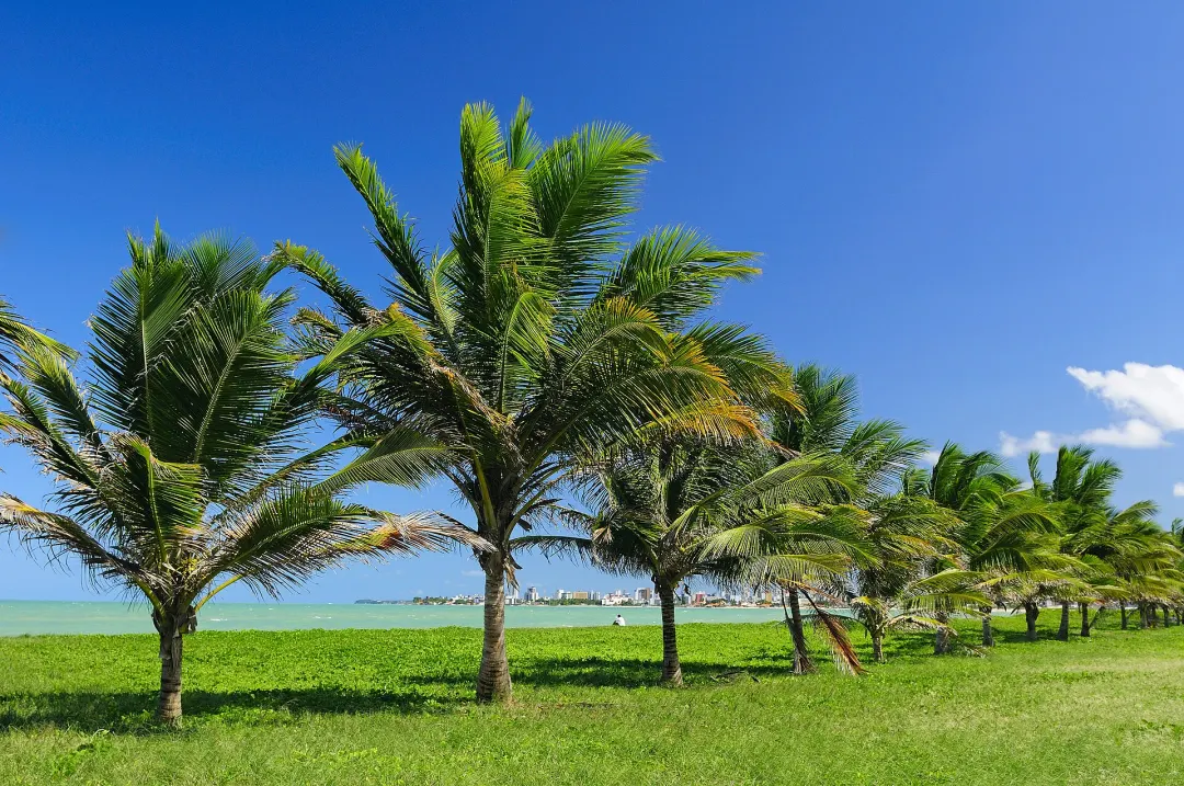 Praia de Intermares