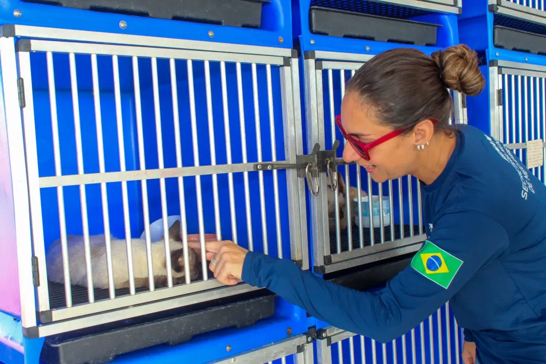 Cabedelo promove Feira de adoção de gatos no Parque do Jacaré — foto 9